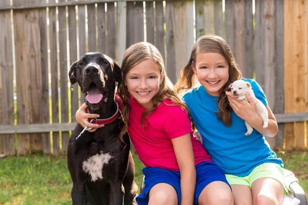İkiz kız kardeşler evde beslenen hayvan köpek yavrusu ve Danua oynama — Stok fotoğraf