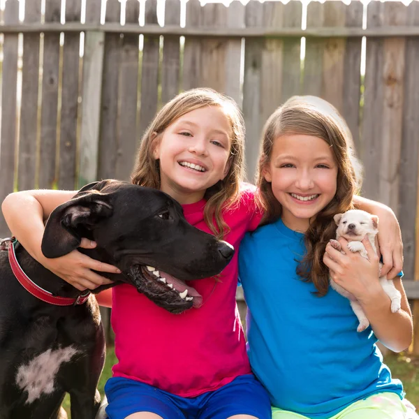 Twin sisters puppy pet dog and great dane playing — Stock Photo, Image