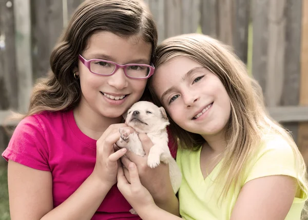 Jongen meisjes spelen met puppy huisdier chihuahua — Stockfoto