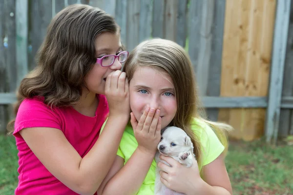 Kid girls playing with puppy pet chihuahua — Stock Photo, Image