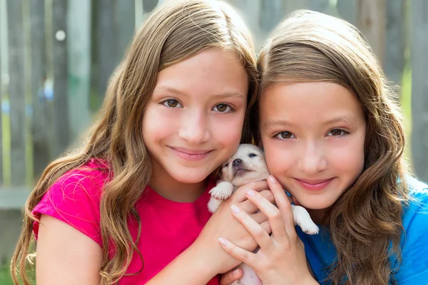 Twin sisters and puppy pet dog chihuahua playing — Stock Photo, Image