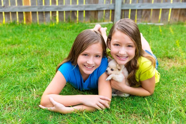 Tweelingzus kid meisjes en puppy hondje liggen in gazon — Stockfoto