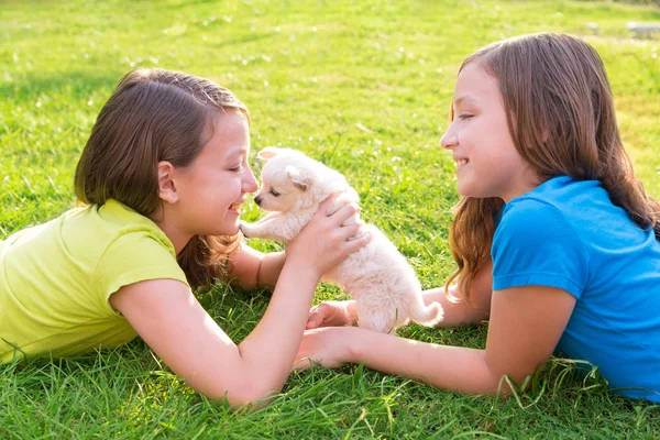 Twin sister kid girls and puppy dog lying in lawn — Stock Photo, Image