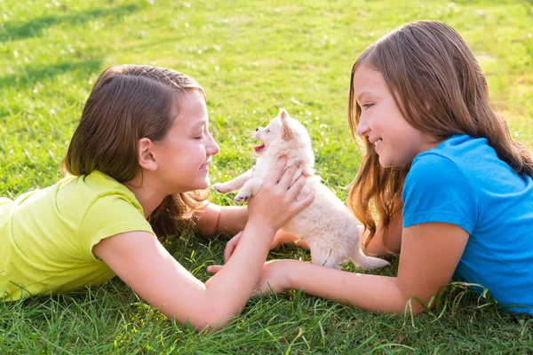 Twin sister kid girls and puppy dog lying in lawn — Stock Photo, Image