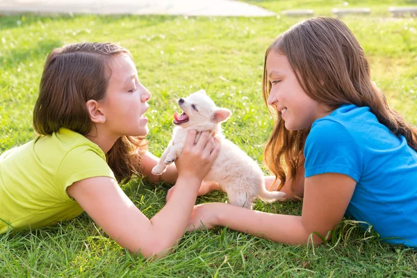 双子の姉妹子供の女の子と子犬の芝生で横になっています。 — ストック写真