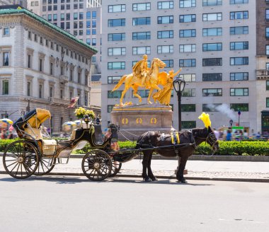 New York'ta Central Park at arabası rides