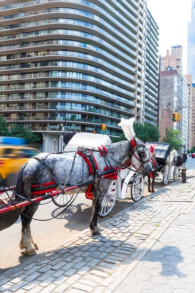 Central Park koně kočáře v New Yorku — Stock fotografie