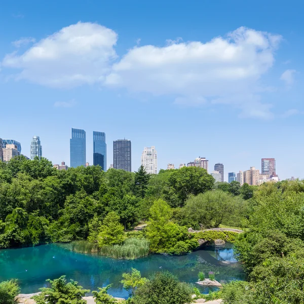 Central Park su birikintisi Manhattan New York — Stok fotoğraf