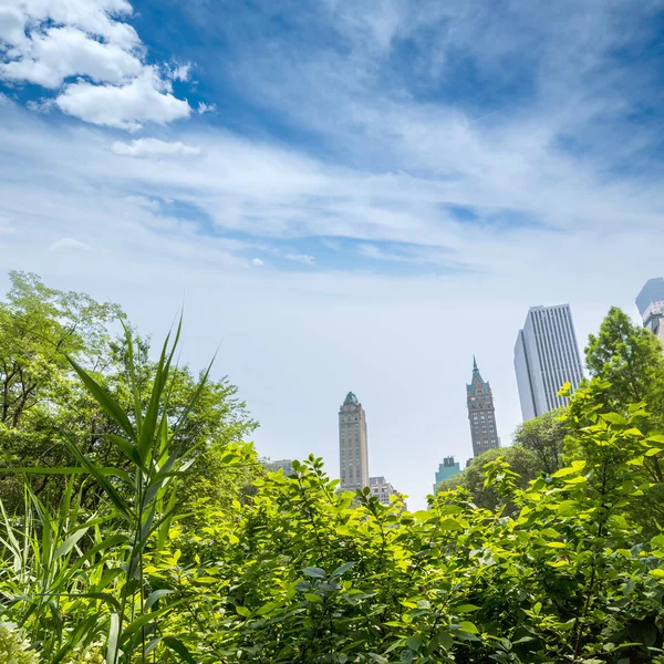 Центральный парк Манхэттен Нью-Йорк США — стоковое фото