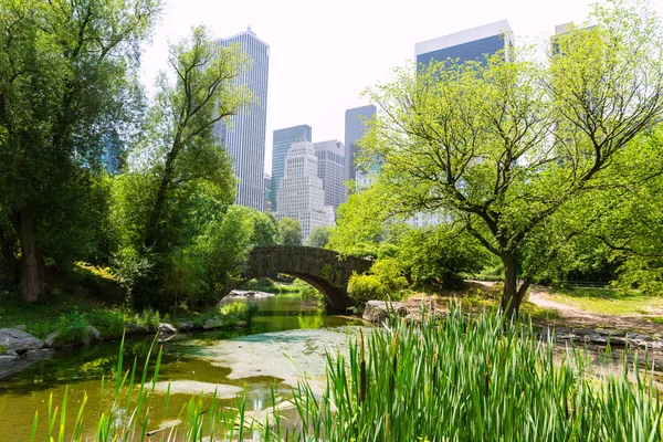 Central Park The Pond Manhattan Nova Iorque — Fotografia de Stock