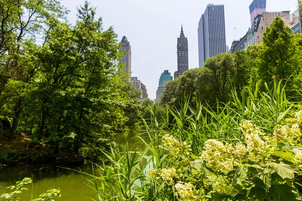 Central Park květiny Manhattan v New Yorku — Stock fotografie