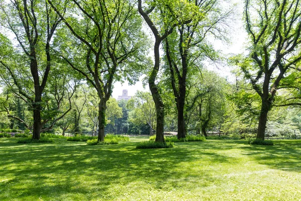 Central Park The Mall Manhattan Nueva York —  Fotos de Stock