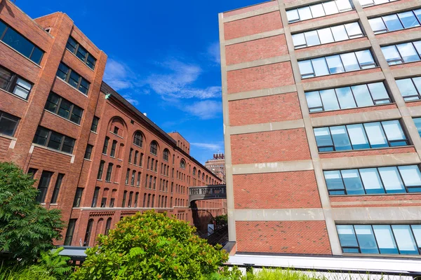 High Line Park views Manhattan New York US — Stock Photo, Image