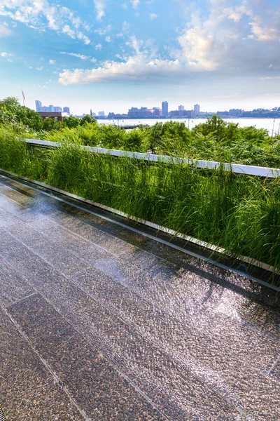 High Line Park Manhattan Nova York EUA — Fotografia de Stock