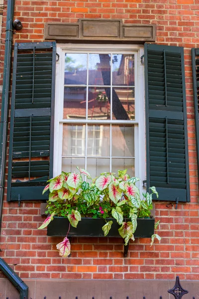 West Village a New York Edifici a Manhattan — Foto Stock