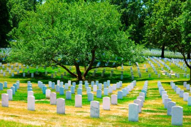 Arlington National Cemetery Va yakınındaki Washington Dc