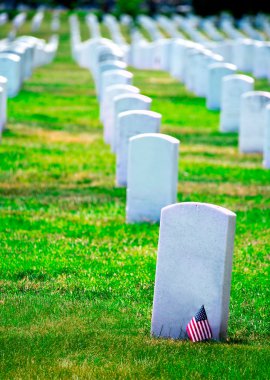 Arlington National Cemetery Va yakınındaki Washington Dc