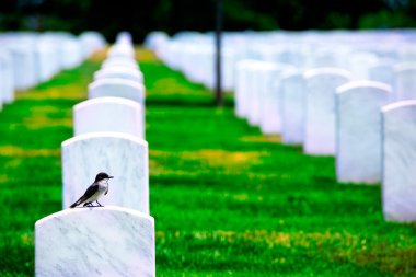 Arlington National Cemetery Va yakınındaki Washington Dc