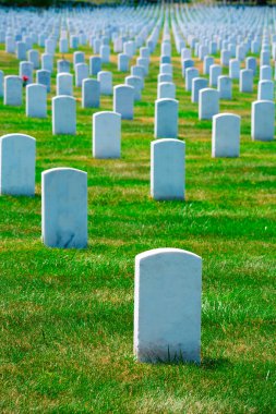 Arlington National Cemetery Va yakınındaki Washington Dc