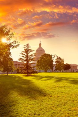 Bize Washington Dc günbatımı Bahçe bina Capitol