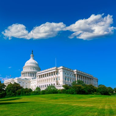 Washington Dc ABD Kongre Binası Capitol