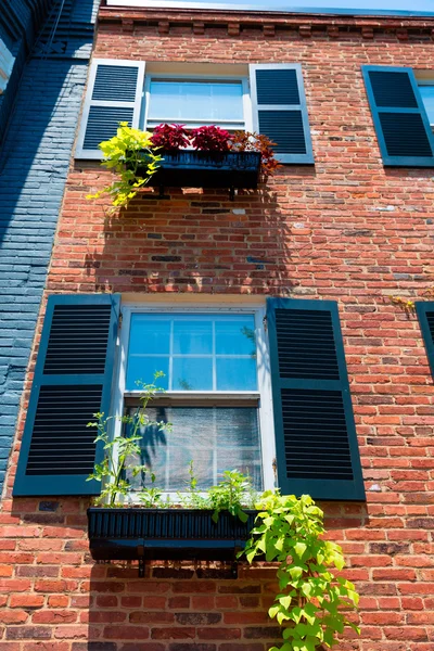 Georgetown historiska distriktet fasader Washington — Stockfoto