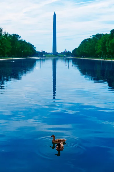华盛顿纪念碑早上反射池 — 图库照片