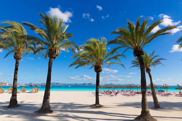 Plaży Mallorca Platja de Alcudia na Majorce — Zdjęcie stockowe