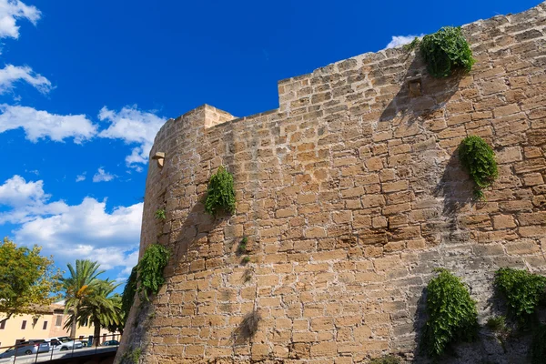 Alcudia gamla stan fästning vägg i Mallorca Mallorca — Stockfoto