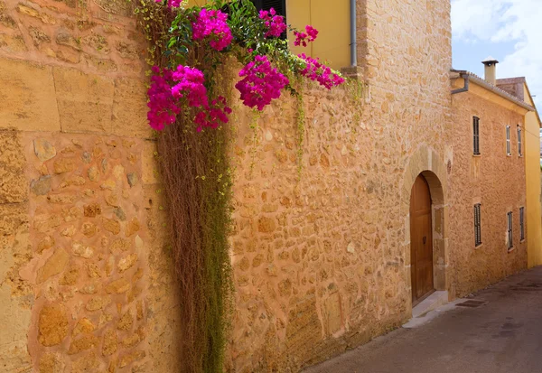 Casco Antiguo de Alcudia Mallorca Baleares —  Fotos de Stock