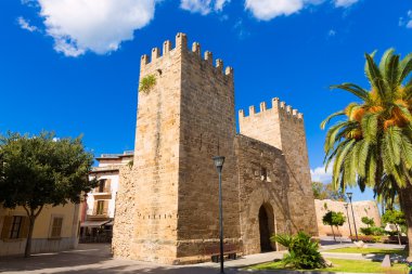 Alcudia eski kasaba Mayorka Porta des Moll Mallorca