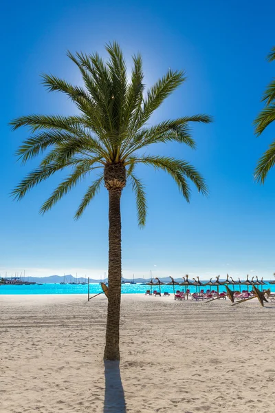 Playa Platja de Alcudia en Mallorca Mallorca — Foto de Stock