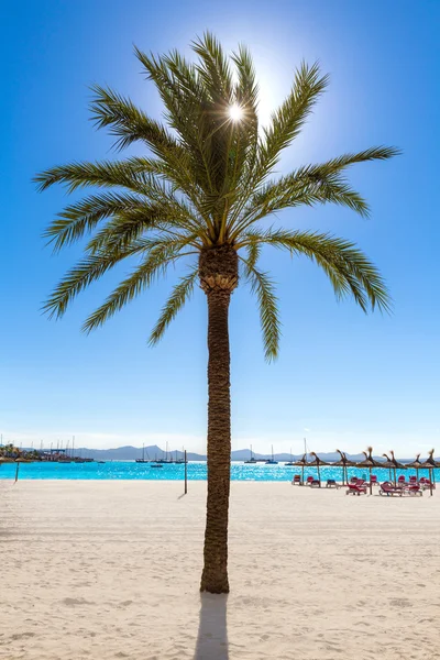 Platja de Alcudia Strand auf Mallorca — Stockfoto