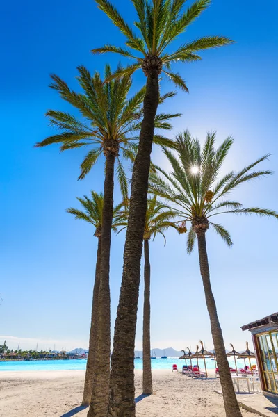 Praia Platja de Alcudia em Maiorca Maiorca — Fotografia de Stock