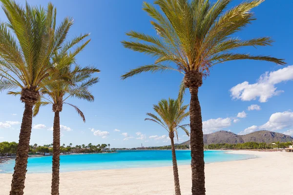 Platja de Alcudia stranden i Mallorca Mallorca — Stockfoto