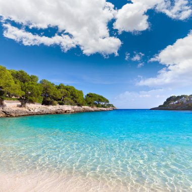 Mallorca Santanyi Beach'te Mayorka Cala Gran Dor 