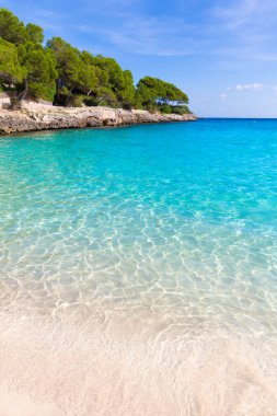 Mallorca Santanyi Beach'te Mayorka Cala Gran Dor 
