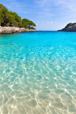 Mallorca Santanyi Beach'te Mayorka Cala Gran Dor 