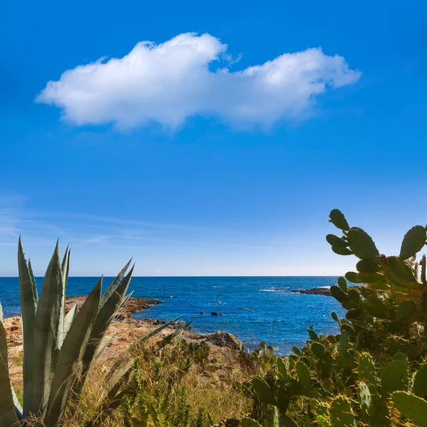 Mallorca Cala Bona strand Son Servera Majorca — Stockfoto