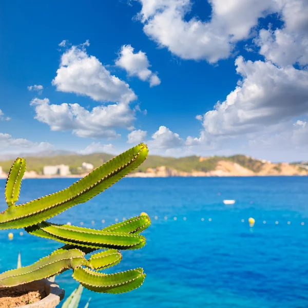 Mallorca Cala Fornells pláž Paguera Peguera — Stock fotografie