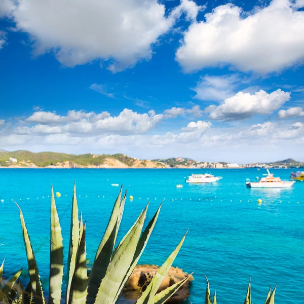 Mallorca Cala Fornells stranden Paguera Peguera — Stockfoto