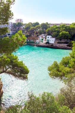 Mayorka Cala Santanyi Mallorca Balear Adası