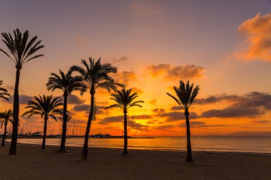Majorca El Arenal sArenal beach sunset near Palma clipart