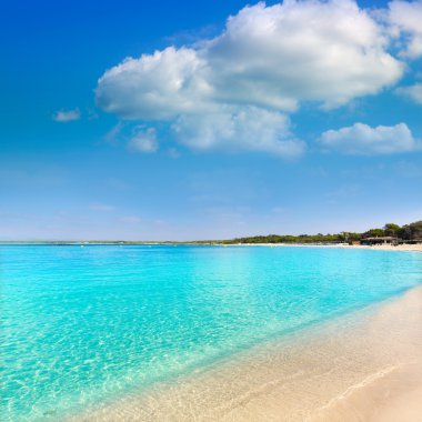Mallorca Marques Es Trenc Estany Estanque plaj