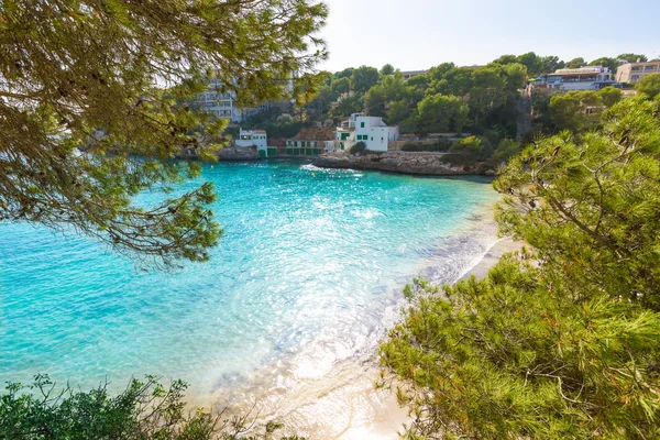Majorca Cala Santanyi in Mallorca Balearic island — Stock Photo, Image