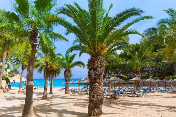 Maiorca Cala Vinyes Spiaggia di Vinas Calvia Maiorca — Foto Stock