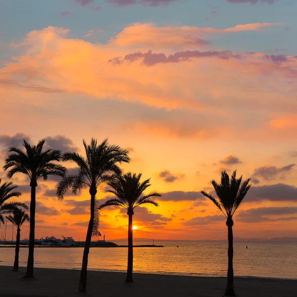 Mayorka El Arenal sarenal beach günbatımı Palma yakınındaki