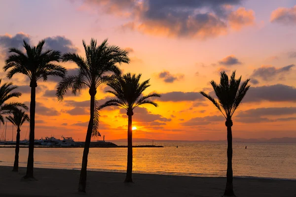 Maiorca El Arenal praia sArenal pôr do sol perto de Palma — Fotografia de Stock