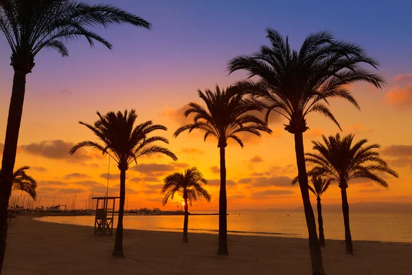 Mallorca El Arenal sArenal playa puesta de sol cerca de Palma —  Fotos de Stock