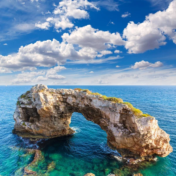 Mayorka Es Pontas Mallorca Balear adlı Santanyi içinde